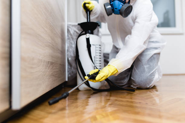 Best Residential Pest Control  in Healdton, OK