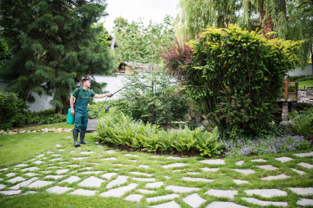 Best Local Pest Control Services  in Healdton, OK