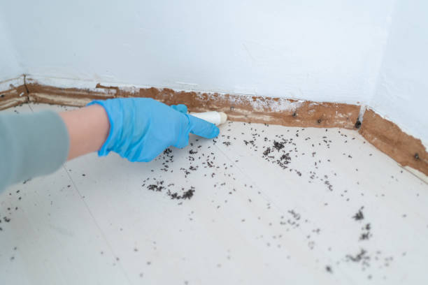 Best Pest Removal Services  in Healdton, OK